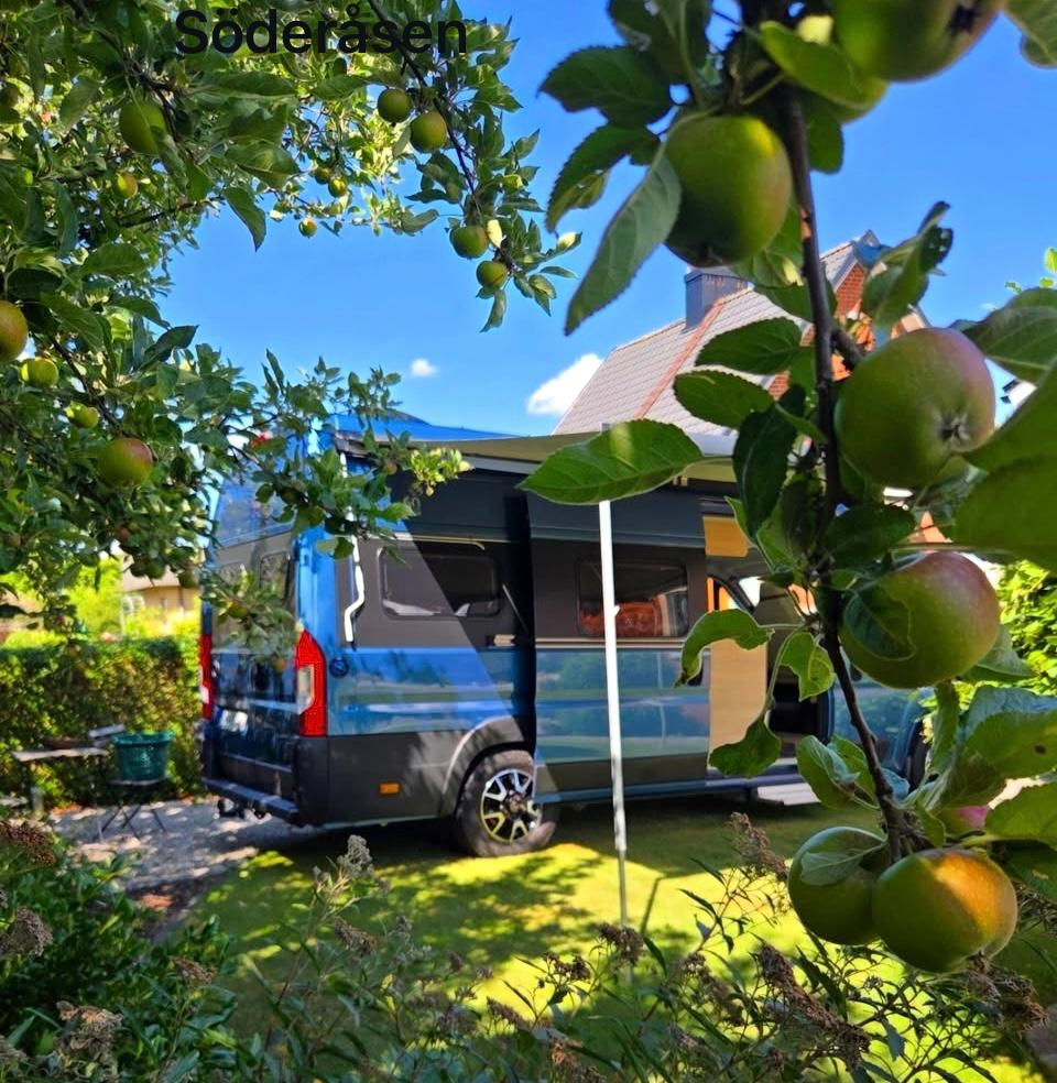 Kastenwagen im Obstgarten